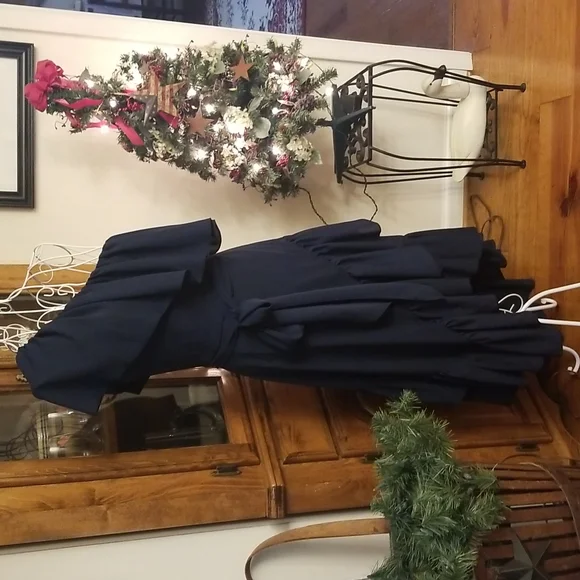 Stunning Vintage Navy Ruffled Dress - Picture 4 of 15